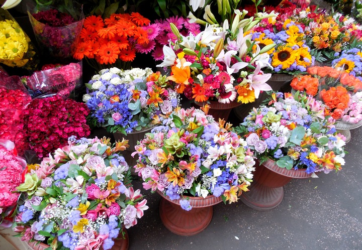 bloemen